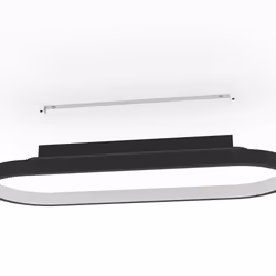 EGLO Codriales éclairage de plafond Noir, Blanc LED D