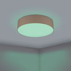 EGLO Romao-Z éclairage de plafond Taupe, Blanc LED F