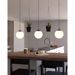 EGLO Rondo 3, Noir, Blanc, Blanc, Verre, Acier, Rond, Noir, Intérieure