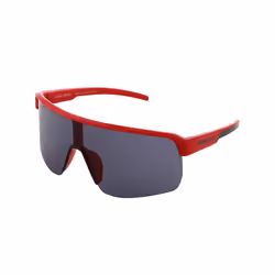 RedBull SPECT DAKOTA lunettes de soleil Shield Rectangle