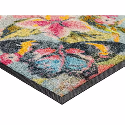 wash+dry Bloomibri Paillasson caoutchouc Intérieure Rectangulaire Multicolore