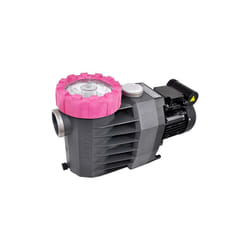 BWT - Pompe piscine Procopi Eurostar ii - 100 m - Type 0,75 cv - monophasé - 0,65 kW - 12 m3/h