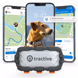 Tractive DOG XL Adventure – GPS et moniteur de santé – Boîtier renforcé à la fibre de verre – Gris