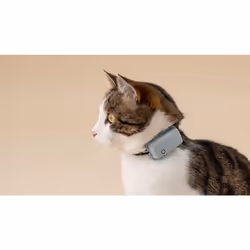 Tractive Collier GPS pour chat
