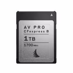 Angelbird Technologies AV PRO CFexpress, 1 To, CFexpress, 1700 Mo/s, 1500 Mo/s, Noir, Argent