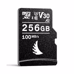Angelbird Technologies AV PRO microSD V30, 256 Go, MicroSDXC, Classe 10, UHS-I, 100 Mo/s, 90 Mo/s