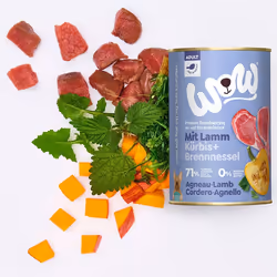 WOW.Pet 9120063681549 pâtée pour chien Agneau Adulte 400 g