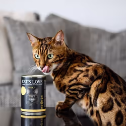 Cat's Love CA00400CH nourriture humide pour chats 400 g