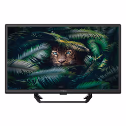 Strong SRT 24HE4023C, 61 cm (24"), 1366 x 768 pixels, HD, LCD, DVB-T2, DVB-C, DVB-S2, Noir