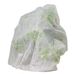 Gusta Garden 200030 film de protection des plantes Blanc Toison