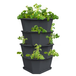Gusta Garden PAUL POTATO STARTER Intérieur & extérieur Semoir vertical Autonome Polypropylène (PP) Anthracite