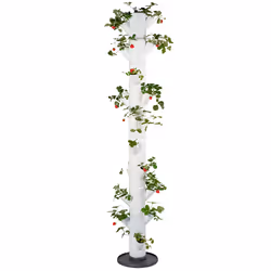 Gusta Garden SISSI STRAWBERRY INFINITY, Semoir vertical, Autonome, Polypropylène (PP), Blanc, Cylindre, Intérieur & extérieur