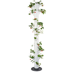 Gusta Garden SISSI STRAWBERRY INFINITY Intérieur & extérieur Semoir vertical Autonome Polypropylène (PP) Blanc
