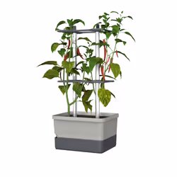 Gusta Garden Charly Chili, Kit de plantation en pot, Autonome, Aluminium, Polypropylène (PP), Gris clair, Rectangle, Intérieu ...