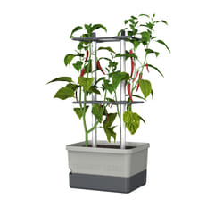 Gusta Garden Charly Chili Intérieur & extérieur Kit de plantation en pot Autonome Aluminium, Polypropylène (PP) Gris clair
