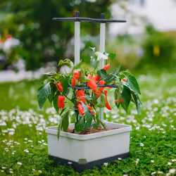 Gusta Garden Charly Chili Intérieur & extérieur Kit de plantation en pot Autonome Aluminium, Polypropylène (PP) Gris clair