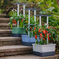Gusta Garden Charly Chili Intérieur & extérieur Kit de plantation en pot Autonome Aluminium, Polypropylène (PP) Gris clair