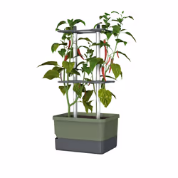 Gusta Garden Charly Chili, Kit de plantation en pot, Autonome, Polypropylène (PP), Aluminium, Vert, Rectangle, Intérieur & ex ...