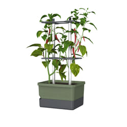 Gusta Garden Charly Chili Intérieur & extérieur Kit de plantation en pot Autonome Polypropylène (PP), Aluminium Vert