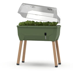Gusta Garden Sammy Salad Intérieur & extérieur Kit de plantation en pot Autonome Polypropylène (PP), Bois Vert, Translucide, Transparent