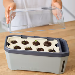 Gusta Garden HARRY HERBS Intérieur & extérieur Pot pour plante Autonome Vert