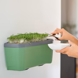 Gusta Garden HARRY HERBS Intérieur & extérieur Pot pour plante Autonome Vert