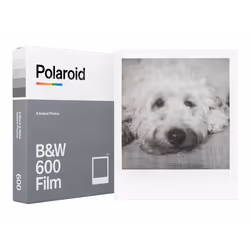 Polaroid 6003, 8 pièce(s), Pays-Bas, 100 mm, 18 mm, 125 mm, 88 g