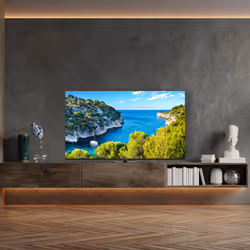 Thomson 65UG5C14 TV LCD 4K 65 Pouces Google TV HDR Noir - Vue supplémentaire 5