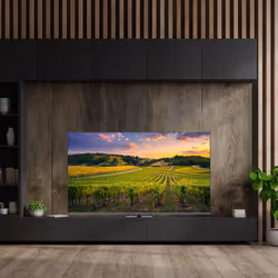 Thomson Q70 Series 65QG5C14 TV 65" 4K Ultra HD Smart TV Gris - Vue supplémentaire 4