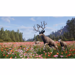 THQ Nordic Way of the Hunter 2 Standard PlayStation 5 - Vue supplémentaire 5