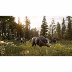 THQ Nordic Way of the Hunter 2 Standard PlayStation 5 - Vue supplémentaire 8