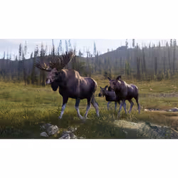 THQ Nordic Way of the Hunter 2 Standard Xbox Series X - Vue supplémentaire 6