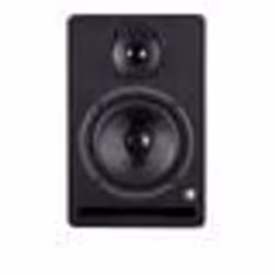 Enceinte Monitor Moniteurs 5 professionnels (50 + 25 Watts RMS bi-amplifiés