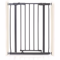 Dreambaby Ava Slimline, Charbon de bois