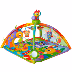 Playgro 0186993 gymnase et tapis d'éveil pour bébé Multicolore Tapis de gymnastique pour bébé