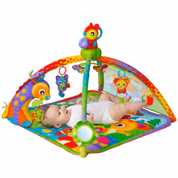 Playgro 0186993 gymnase et tapis d'éveil pour bébé Multicolore Tapis de gymnastique pour bébé