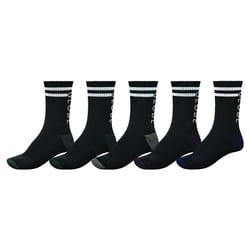 Lot de 5 chaussettes Globe Carter Crew