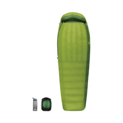Sea To Summit Ascent AcI Adulte Sac à viande Nylon Vert
