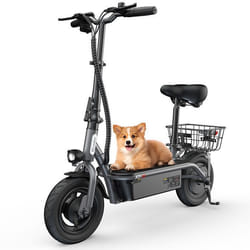 Trottinette Électrique avec Siège- iScooter F2 -500W -Autonomie 25-30km -36V7.8Ah -10-Gris