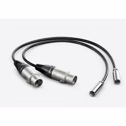 Blackmagic Design HYPERD/AXLRMINI2, mini XLR (3-pin), Mâle, XLR (3-pin), Femelle, 0,495 m, Noir