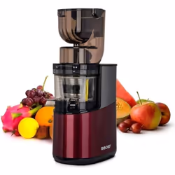 Extracteur de Jus - BioChef - Atlas Whole Slow Juicer PRO - 400W - 40 tr/min - Garantie à vie