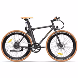 Vélo Électrique - FAFREES - F1 - 250W Moteur - 36V 10Ah Batterie - Pneus 275 Pouces