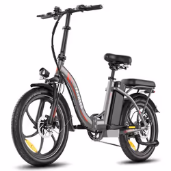 Vélo Électrique FAFREES F20+ - Moteur 250W Batterie 36V20Ah Pneus De 20 Pouces Frein à Disque Mécanique - Gris