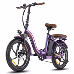 Vélo Électrique FAFREES F20+ Pro - Moteur 250W Batterie 36V22.5Ah Pneus De 20 Pouces Frein à Disque Mécanique - Violet Rose