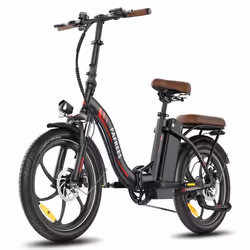 Vélo Électrique FAFREES F20+ Pro - Moteur 250W Batterie 36V22.5Ah Pneus De 20 Pouces Frein à Disque Mécanique - Noir
