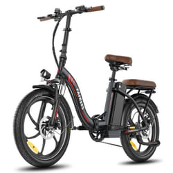 Vélo Électrique FAFREES F20+ Pro - Moteur 250W Batterie 36V22.5Ah Pneus De 20 Pouces Frein à Disque Mécanique - Noir