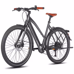 FAFREES F700W Vélo Électrique - Moteur 250W Batterie 36V10AH Freins Hydrauliques Cadre Aluminium - Noir