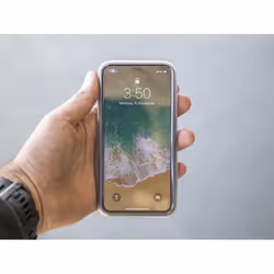 Quad Lock Poncho, Housse, Apple, iPhone 12 Mini, Transparent