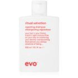 EVO Repair Ritual Salvation 300 ml