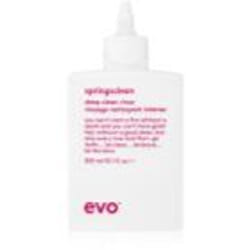 EVO Curl Springsclean 300 ml